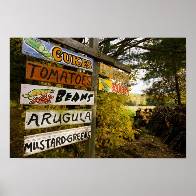 Póster Uma fazenda em Holderness, New Hampshire. (Frente)