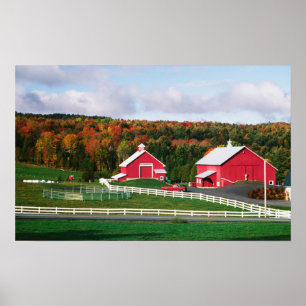 Póster Uma fazenda em Vermont perto de Peacham. LIBERADO