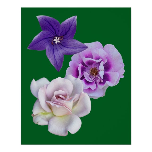 Póster Uma flor (Frente)