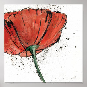 Póster Uma flor fechado em um fundo branco