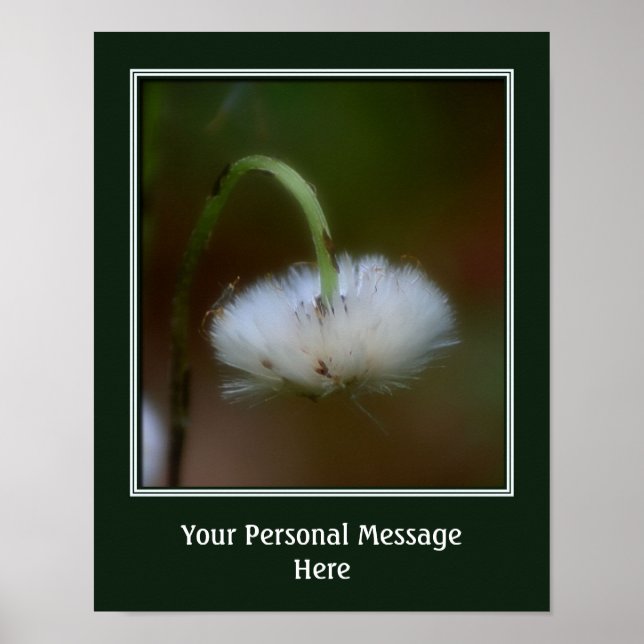 Póster Uma Flor Fofa Crie Seu Próprio Personalizado (Frente)