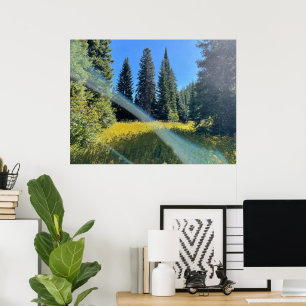 Poster Uma Floresta Mágica