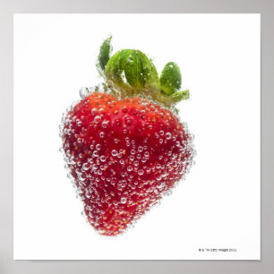 Poster Uma fruta orgânica madura suculenta da morango