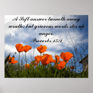 Poster Uma fúria de resposta suave...