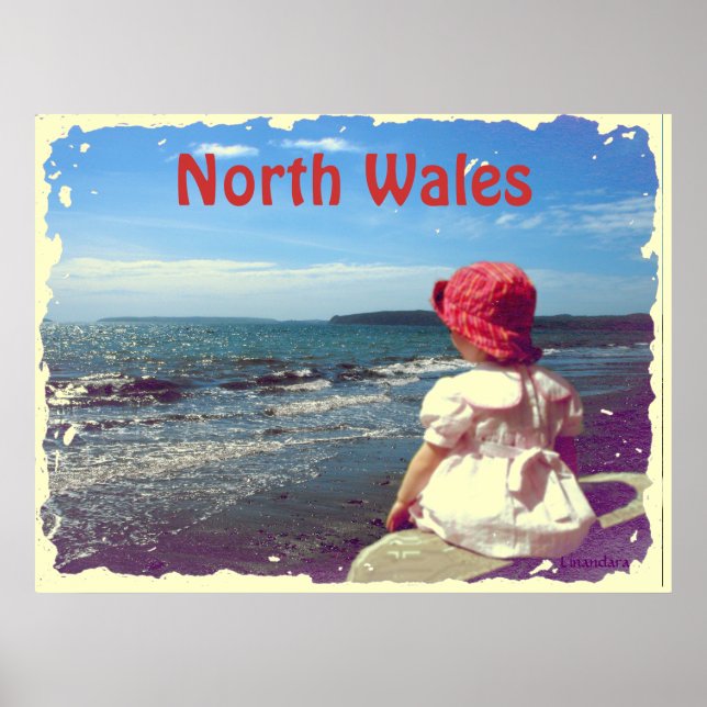 Poster Uma garota perto do mar (Frente)