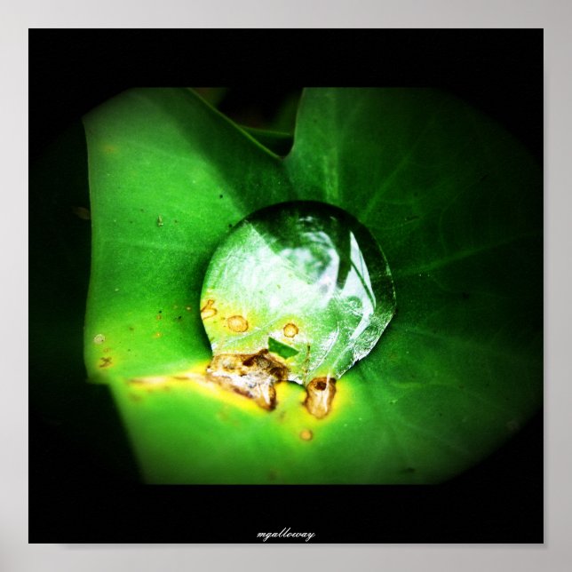 Poster uma gota (Frente)