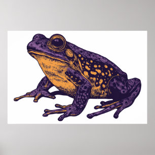 Poster Uma ilustração de rã - grande
