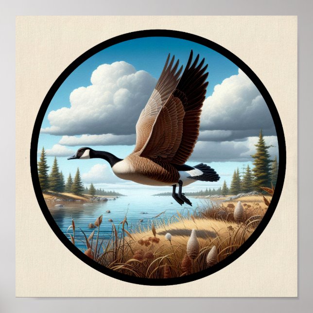 Poster Uma imagem 3D circular de um belo ganso-do-canadá (Frente)