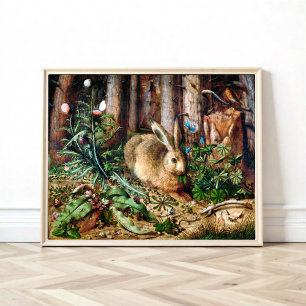 Poster Uma Lebre na Floresta