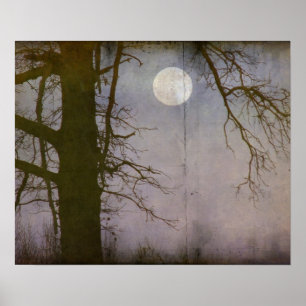 Poster Uma Lua cheia