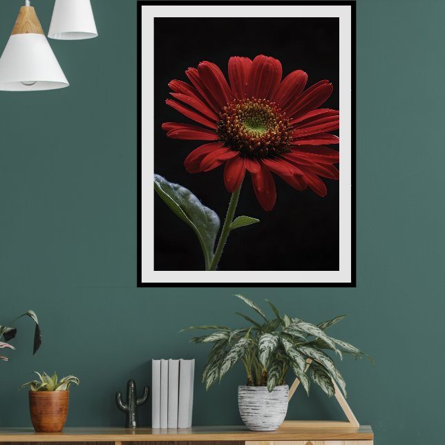 Poster Uma Margarida Vermelha Esquerda Em Preto, (Sala de Estar 1)