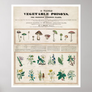Poster Uma Mesa de Venenos Vegetais