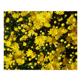 Póster Uma multidão de Mães amarelas