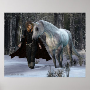 Póster Uma noite nevado