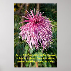 Póster Uma noite o Senhor falou com Paul