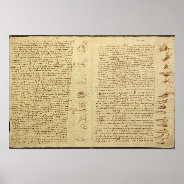Póster Uma página do Codex Leicester, 1508-12 (Frente)
