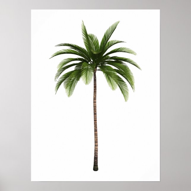 Poster Uma Palm Tree Tropical Beach Island Art Simples Di (Frente)