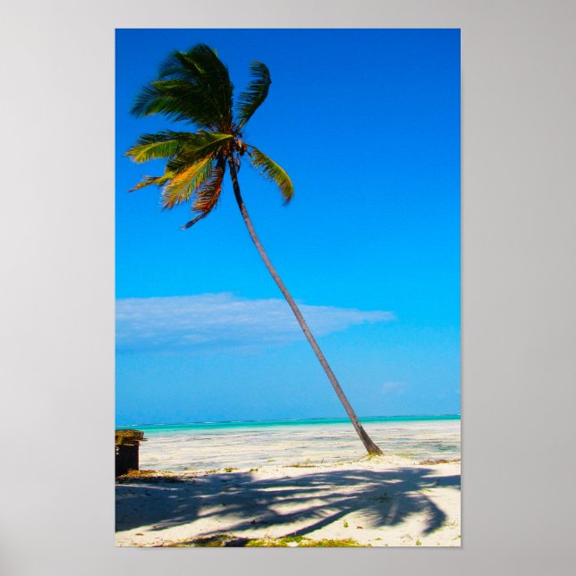 Poster Uma Palma (Frente)