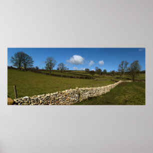 Póster Uma parede do inverno