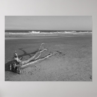 Poster Uma passagem única