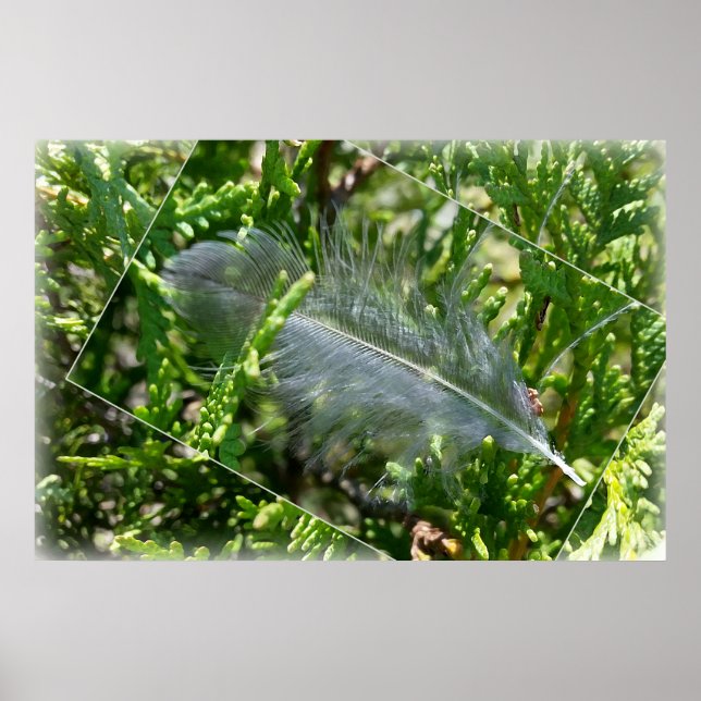 Poster Uma pena perdida (Frente)