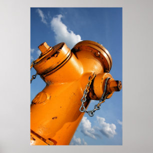 Poster Uma perspectiva dos cães