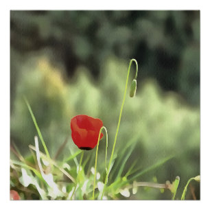 Póster Uma pintura artística popular de flor selvagem