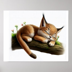 Poster Uma pintura digital de uma bela jovem Lynx
