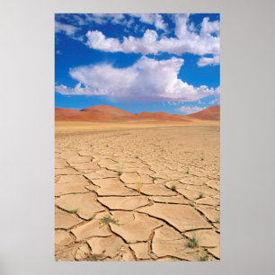 Póster Uma planície de deserto rachada
