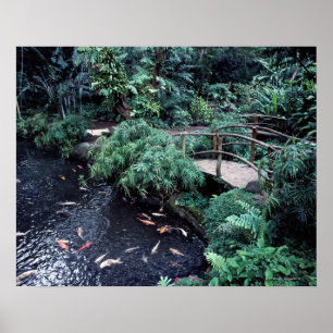 Poster Uma ponte sobre uma lagoa do peixe dourado cercada