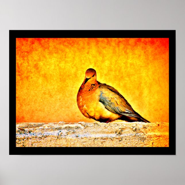 Poster Uma Princesa de Dove (Frente)