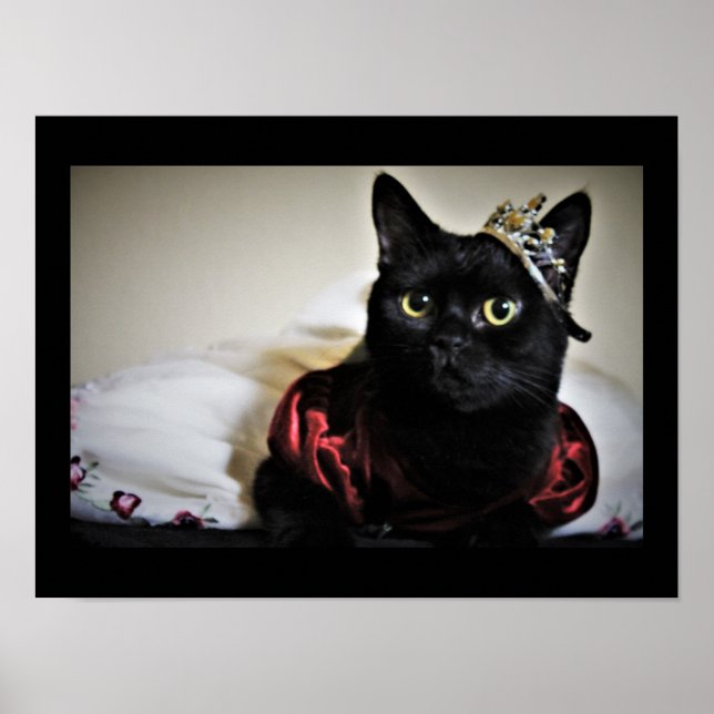 Poster Uma Princesa Pequena (Frente)