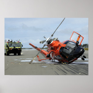 Poster Uma queda dum helicóptero do golfinho da guarda
