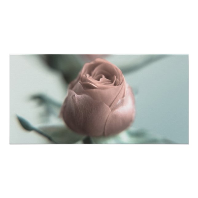 Póster Uma Rosa Rosa para a sua Querida... (Frente)
