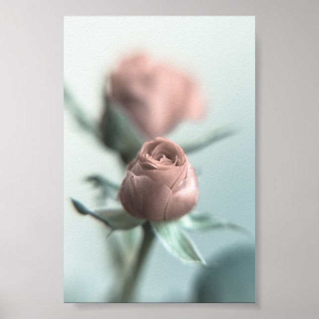 Poster Uma Rosa Rosa para o seu Amor... (Frente)
