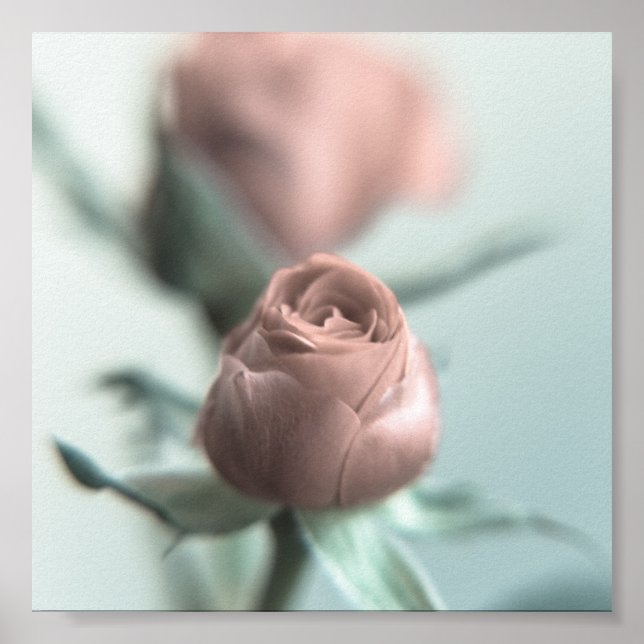 Póster Uma Rosa Rosa Rosa Rosa para a tua querida... (Frente)