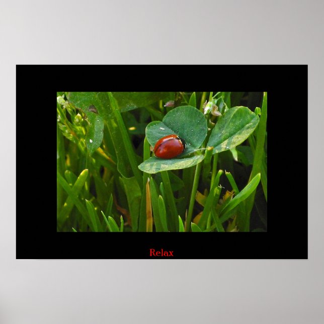 Póster Uma Rua Sortuda. (Frente)