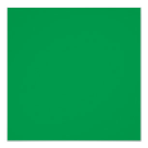 Póster Uma samambaia verde-luxuosa, delicada e intricada