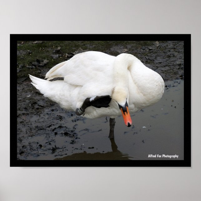 Poster Uma Saudação Elegante (Frente)