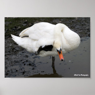 Poster Uma Saudação Elegante