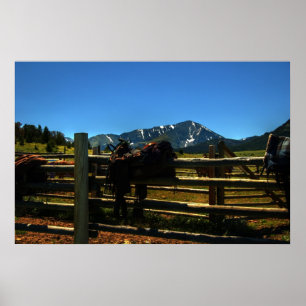 Poster Uma sela no corredor