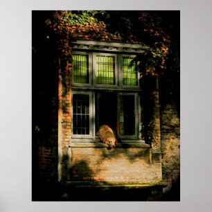 Poster Uma sesta no sol II