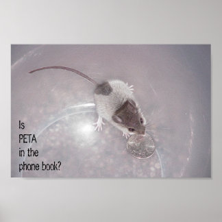 Póster Uma Última Chamada