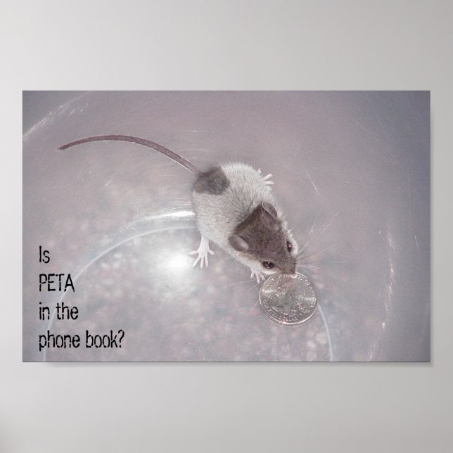 Póster Uma Última Chamada (Frente)