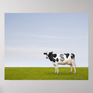 Póster Uma vaca de leiteria de Holstein com os pontos na