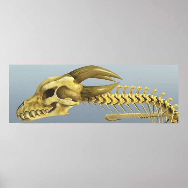 Poster Uma Vez Por Dragão (Frente)