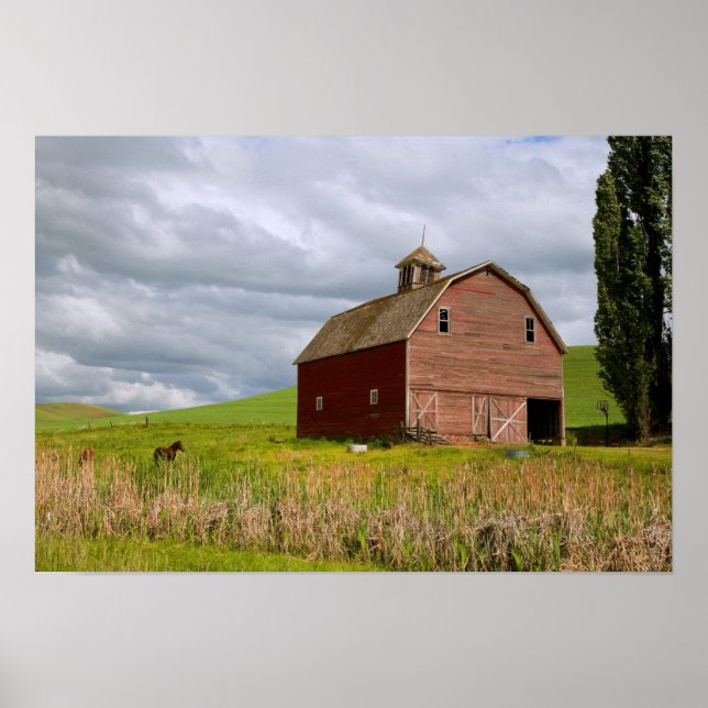 Poster Uma viagem pelo interior rural de Palouse 4 (Frente)