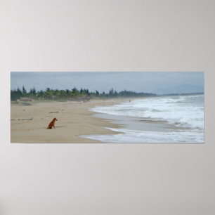 Poster Uma vida de cães