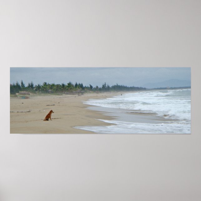 Poster Uma vida de cães (Frente)