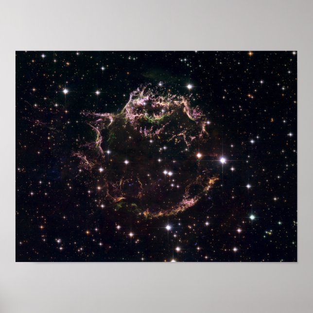 Póster Uma visão detalhada sobre os restos mortais (Frente)